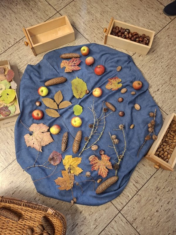 20251121_110836_resized