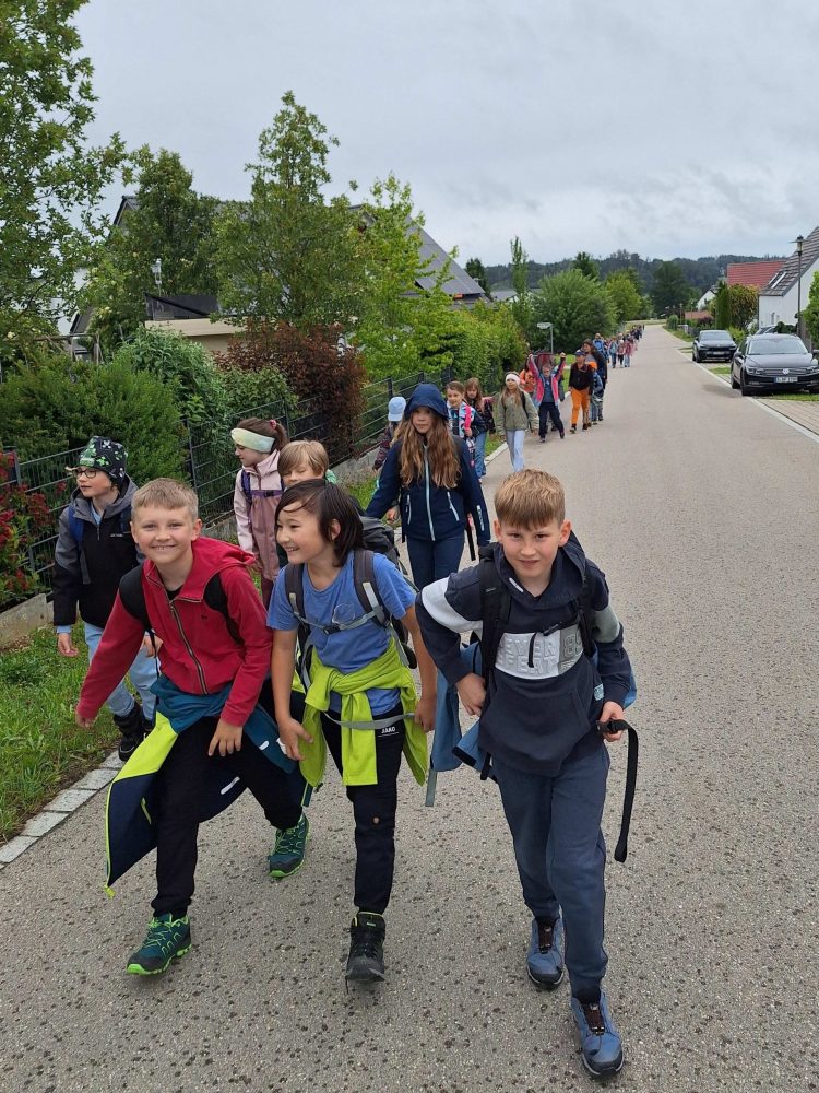 Wandern nach Violau